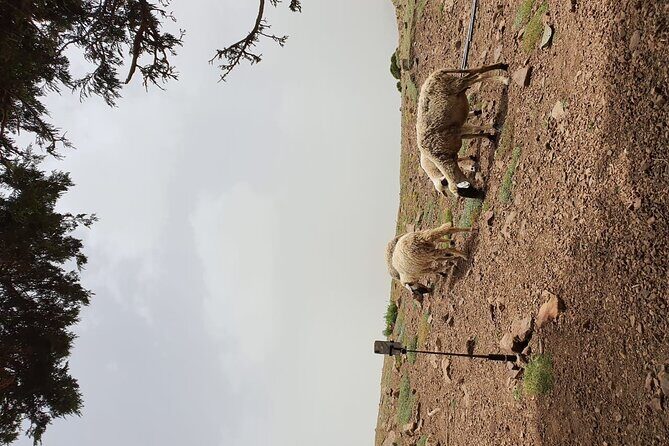 two days valley trek in the Atlas mountains - The Authentic, Small-Group Advantage