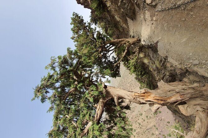 two days valley trek in the Atlas mountains - The Sum Up: Who will love this trek?