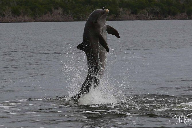 Two-Hour Everglades Dolphin, Manatee and Birding Boat Tour - FAQ