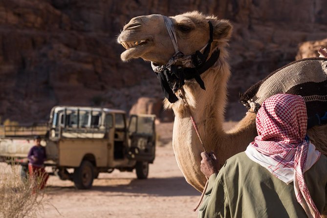 Two-Hour Jeep Safari Wadi Rum Highlights! W/ Professional Guide - Highlights of the Safari Route