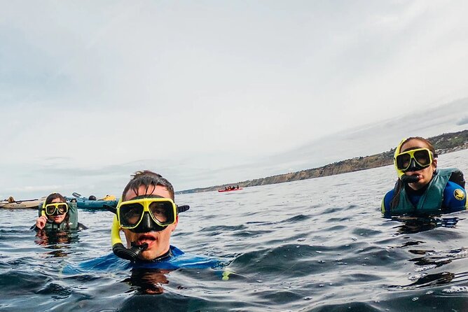 Two Hour Kayak and Snorkel Tour for Two in La Jolla - Pricing Information