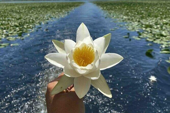 Two Hours Sightseeing Lake Cruise at Montenegro National Park - The Sum Up: Who Should Consider This Tour?