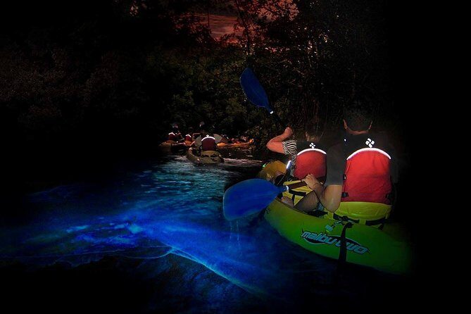 Two-in-One Day Trip: El Yunque and Bio Bay Tour with Transport - Key Points