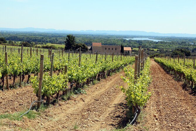 Two intensive days discover exceptional wines of the Rhône valley - A Closer Look at the Itinerary