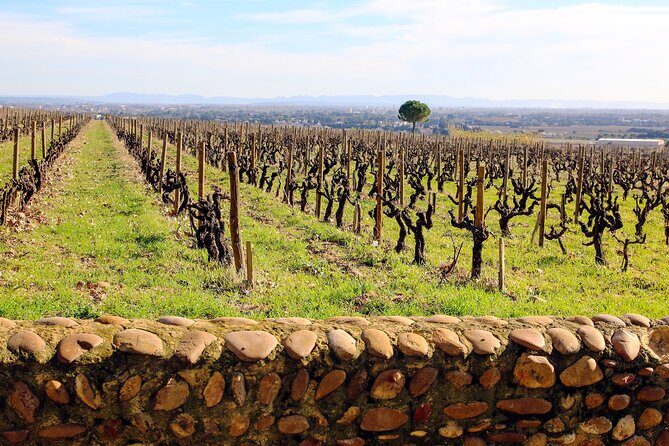 Two intensive days discover exceptional wines of the Rhône valley - Price and Value