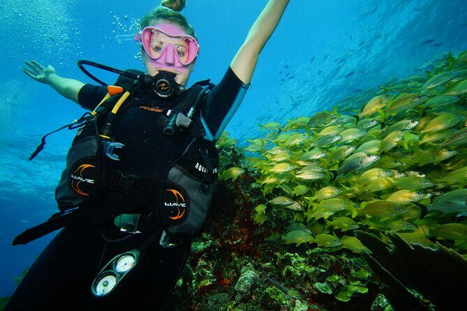 Two Reefs For Certified Divers in Cancun - Who Is This Tour For?
