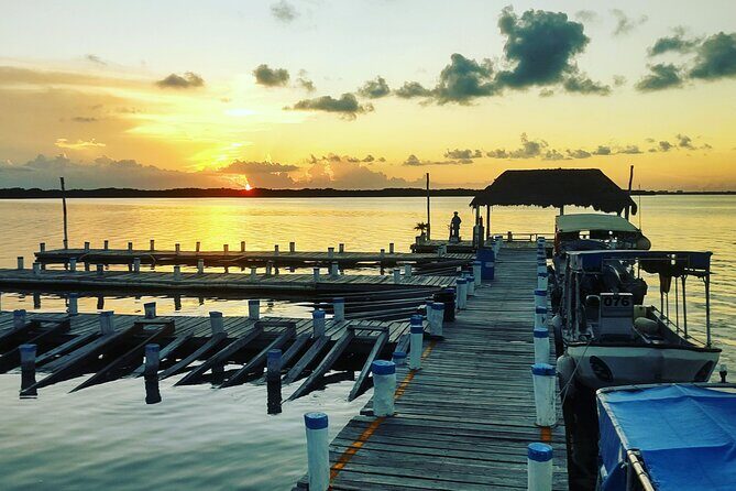 Two Reefs For Certified Divers in Cancun - Who Will Love This Tour?