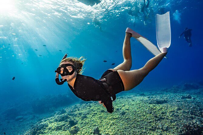 Two Site Snorkeling Adventure featuring the Molokini Crater - Key Points