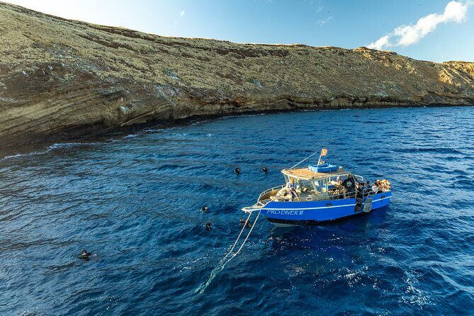Two Site Snorkeling Adventure featuring the Molokini Crater - The Itinerary: What You Can Expect