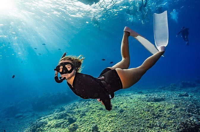 Two Site Snorkeling Adventure featuring the Molokini Crater - Authentic Encounters and Guest Feedback