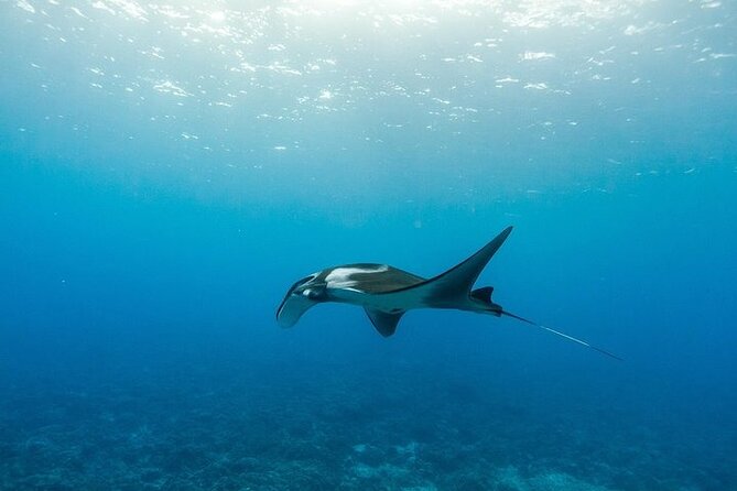 Two Stop Snorkel Adventure From Maui - Meeting Point and Check-In