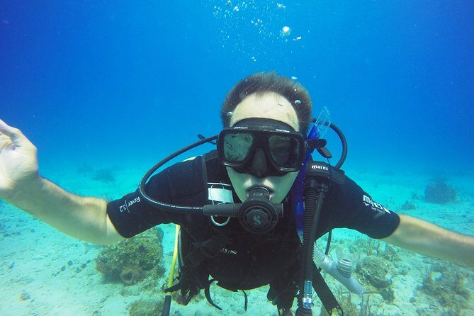 Two-Tank Dive for Certified Diving in St Thomas - Who Is This Tour Best Suited For?