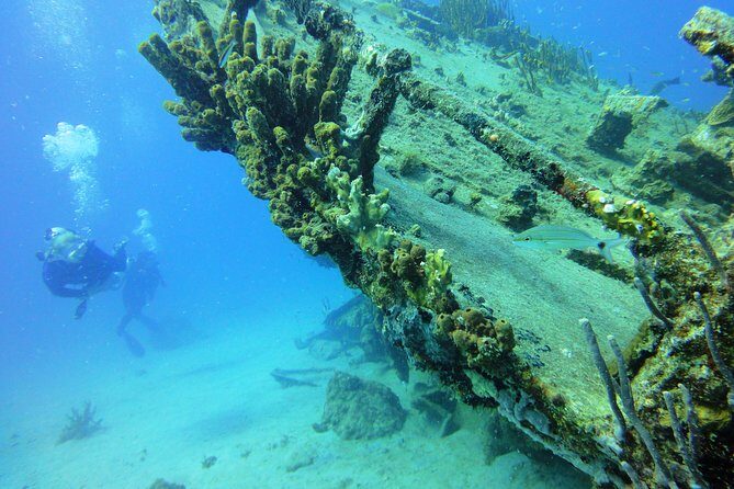 Two-Tank Dive for Certified Diving in St Thomas - FAQ