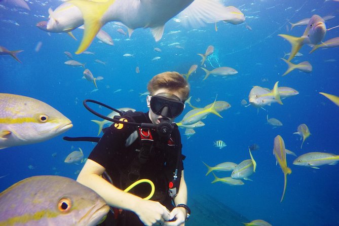 Two-Tank Dive for Certified Diving in St Thomas - Group Size and Capacity