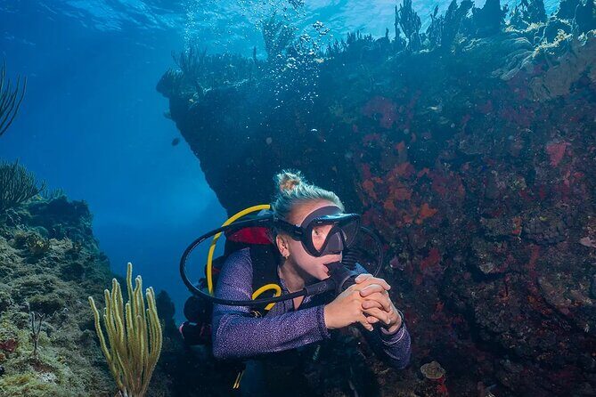 Two-Tank Morning Dive Trip for Certified Divers - Authentic Experiences from Reviewers