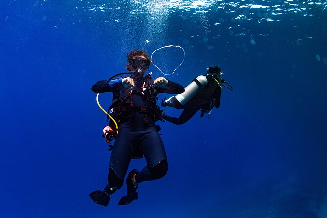 Two Tank Morning Reef Dive and Snorkel - Inclusions and Amenities