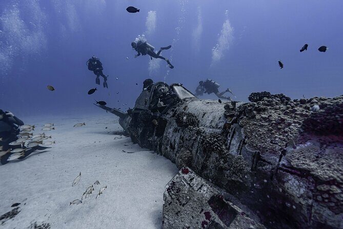 Two Tank Wreck and Drift Dive in Oahu - What This Dive Tour Offers