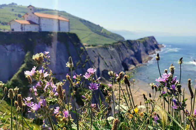 TXAKOLI vineyards HIKE, ZUMAIA and GETARIA - Private Outdoor & Gastronomic Tour - Final Thoughts