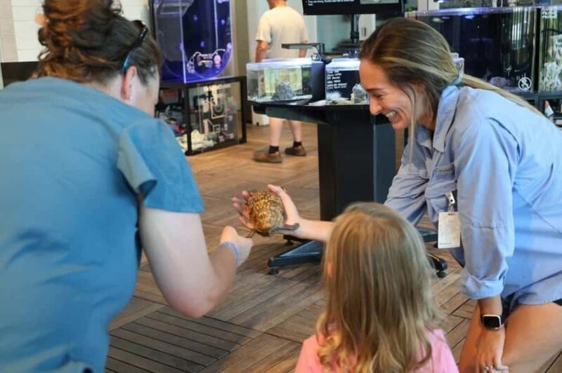 Tybee Island Marine Science Center Entry Ticket - Conservation Efforts and Education Programs