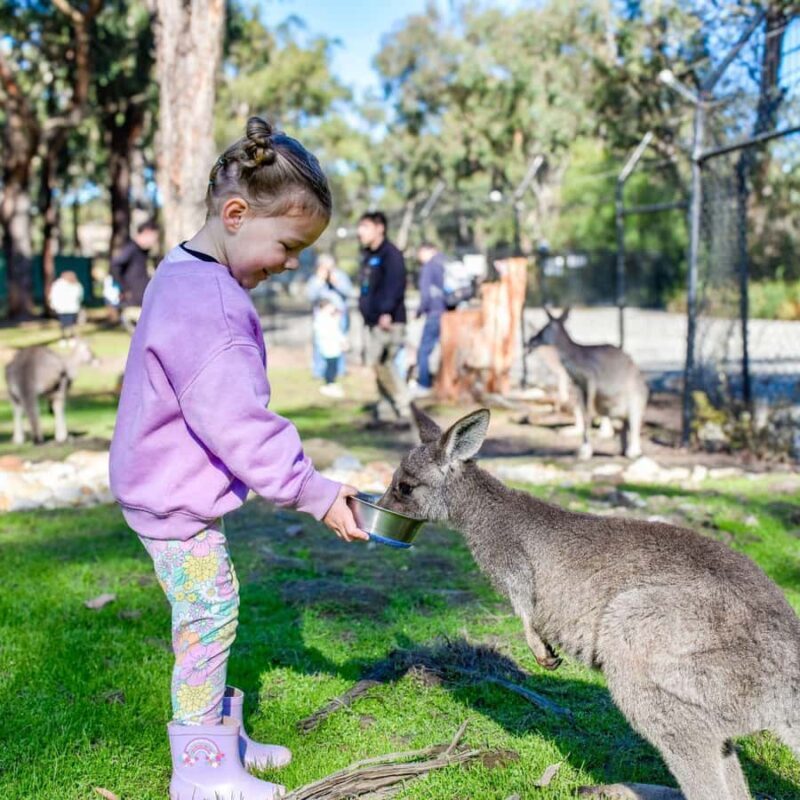 Tynong/Melbourne: Gumbuya World Theme Park Entry Ticket - Tynong/Melbourne: Gumbuya World Theme Park Entry Ticket — A Practical Guide  