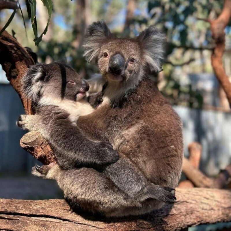 Tynong/Melbourne: Gumbuya World Theme Park Entry Ticket - Key Points  