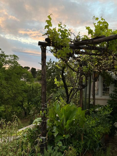 Typical Apulian Dinner in the Garden of an Ancient Trullo - Key Points