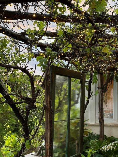 Typical Apulian Dinner in the Garden of an Ancient Trullo - Frequently Asked Questions