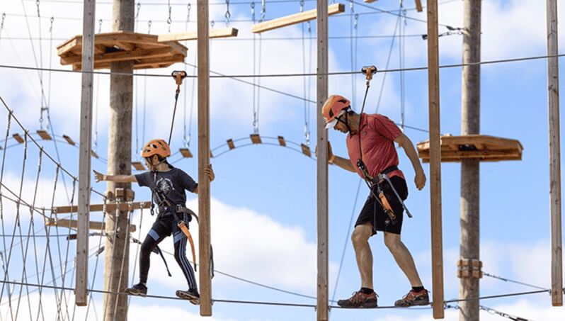 Tyroparc: La Cité des Bois Obstacle Course in Laurentians - Key Points