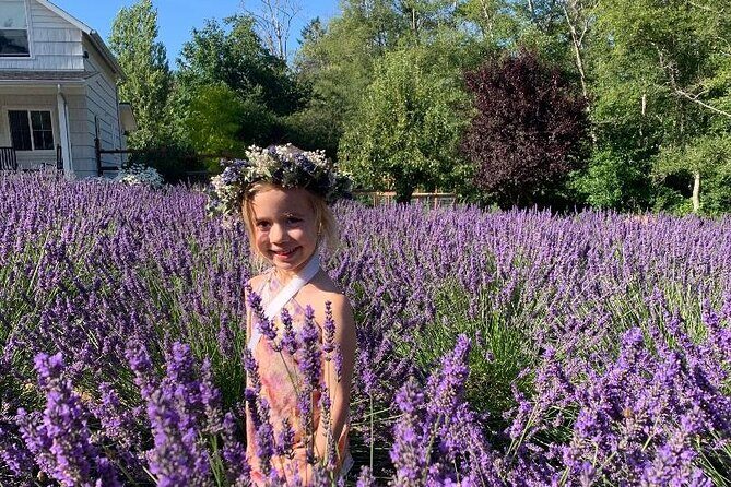 U-Pick Lavender Experience on Bainbridge Island - What to Expect: A Step-by-Step Breakdown