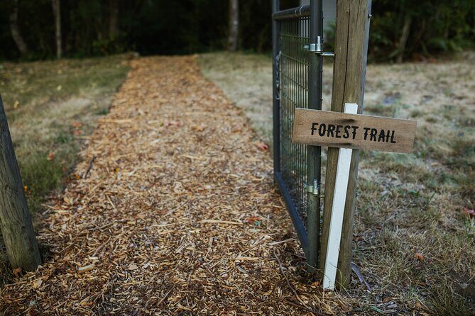 U-Pick Lavender Experience on Bainbridge Island - Who Is This Tour Best For?