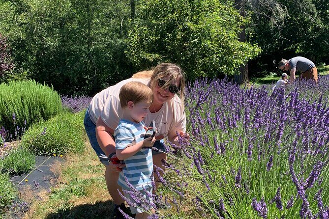 U-Pick Lavender Experience on Bainbridge Island - The Sum Up: Who Should Consider This Tour?