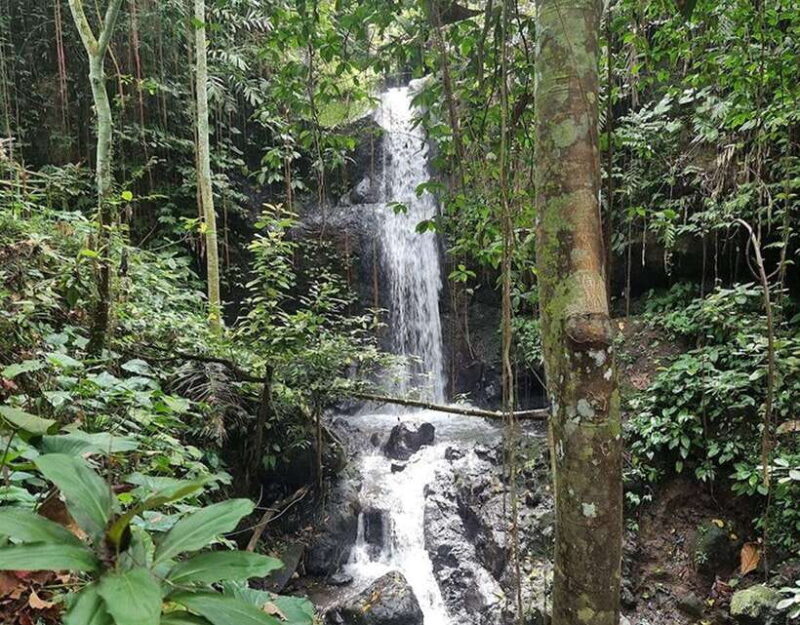 UBUD : 1 day trip tegalalang,temple,goarangrang waterfalls - A Detailed Review of the Ubud Day Trip Experience