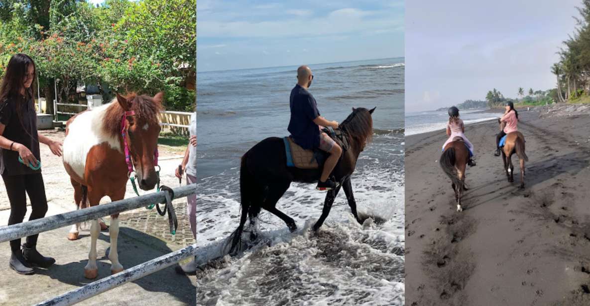 Ubud: 1 Hour Beach Horse Riding With Transfer - Location and Logistics