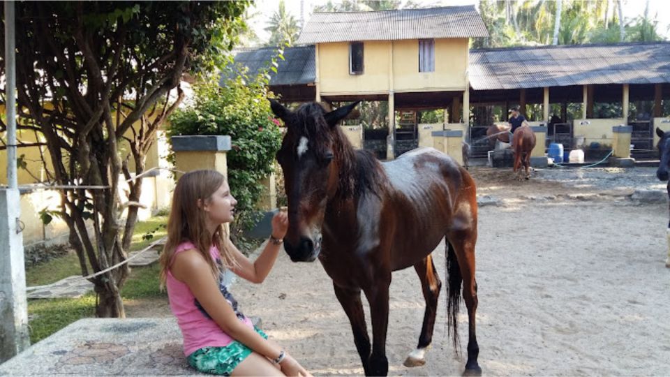 Ubud: 1 Hour Beach Horse Riding With Transfer - Horse Riding Experience
