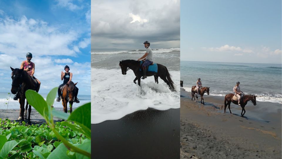Ubud: 1 Hour Beach Horse Riding With Transfer - Post-Ride