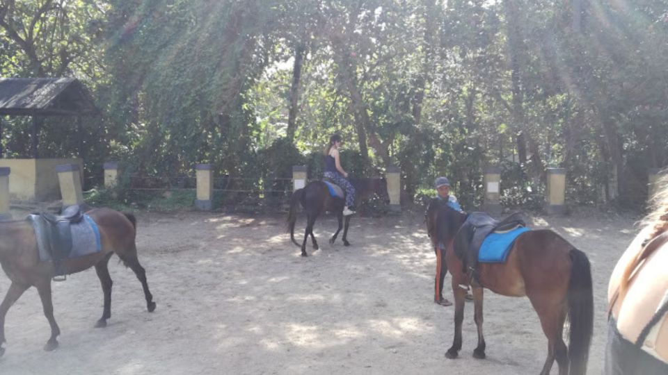 Ubud: 1 Hour Beach Horse Riding With Transfer - Pickup and Drop-off