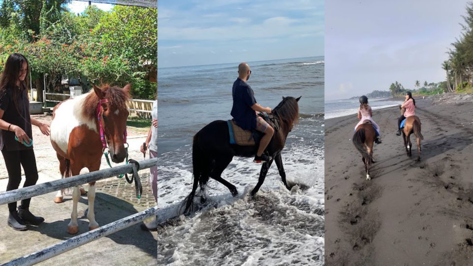 Ubud: 1 Hour Beach Horse Riding With Transfer - Memorable Coastal Experience
