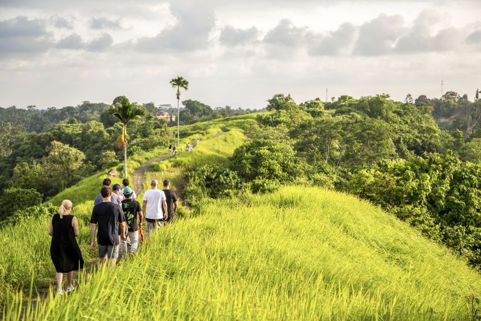 Ubud: 3-Hour Walking Tour With Lunch - Key Points