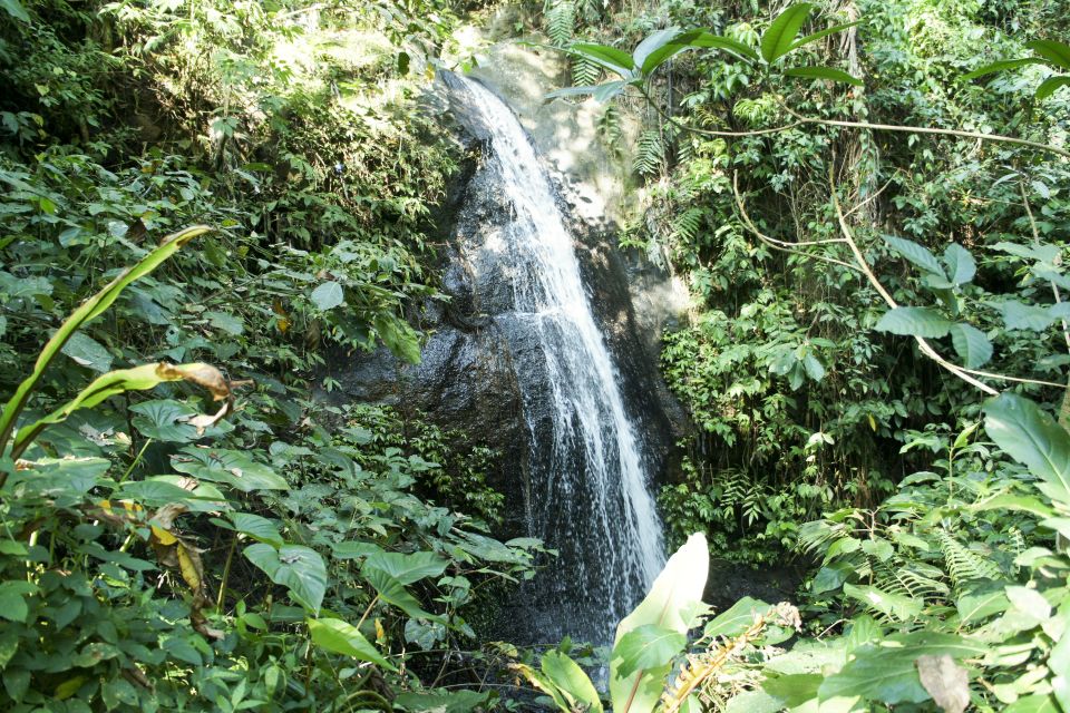 Ubud: 3-Hour Walking Tour With Lunch - Important Information for Travelers