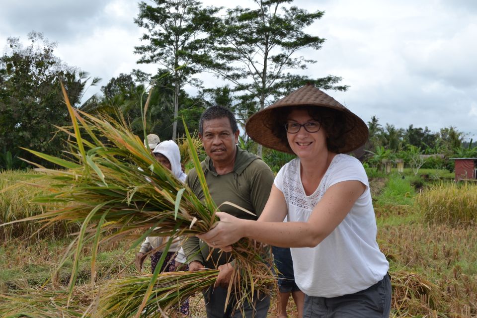 Ubud: 3-Hour Walking Tour With Lunch - Frequently Asked Questions