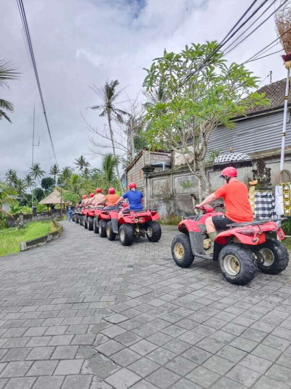 Ubud Adventure : Ayung River Rafting & ATV Quad Bike - Price and Value: Is It Worth It?