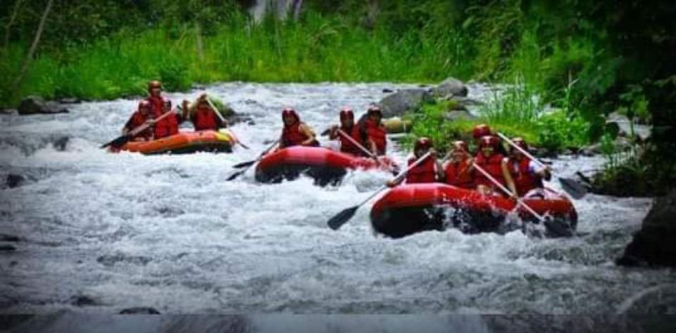 Ubud : Adventure of Ayung River Rafting All Inclusive - Duration and Inclusions