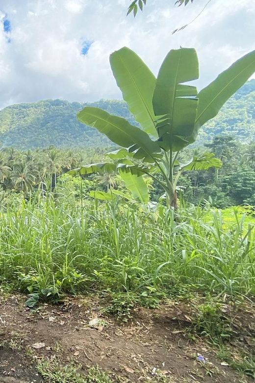 Ubud Adventure Tour - Important Information and Logistics