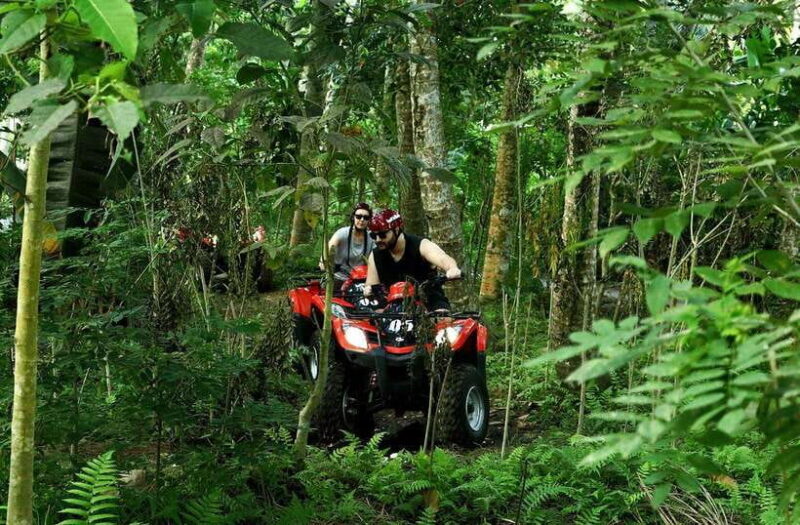 Ubud Adventure: Whitewater Rafting and Cultural Exploration - Logistics, Value, and Practical Tips