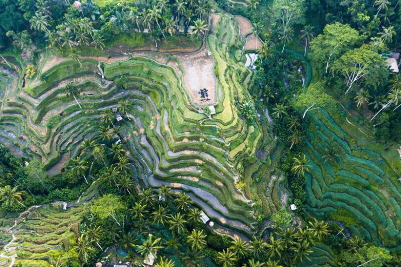 Ubud Adventure: Whitewater Rafting and Cultural Exploration - FAQ