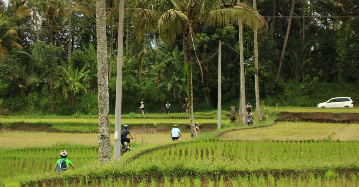Ubud: Afternoon Cycling Tour With Photographer and Lunch - Key Points