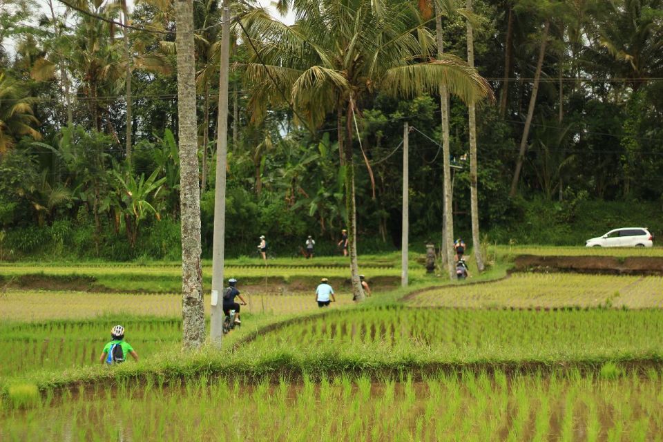 Ubud: Afternoon Cycling Tour With Photographer and Lunch - Sights and Activities
