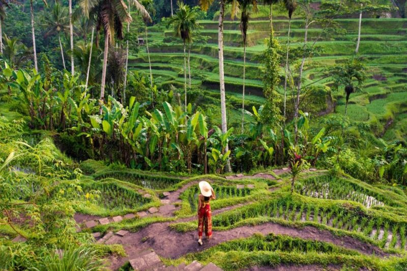 Ubud All-Inclusive Private Day Tour - Important Information