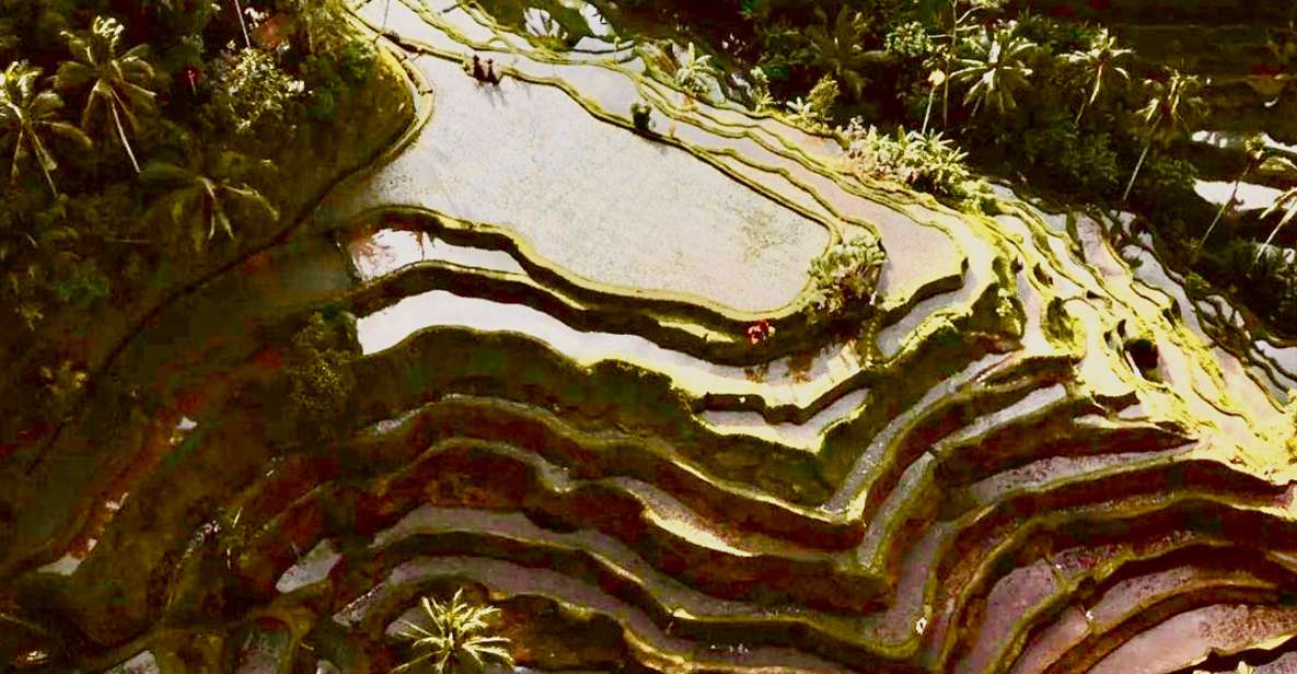 Ubud: All-Inclusive Tour With Optional Lunch - Key Points