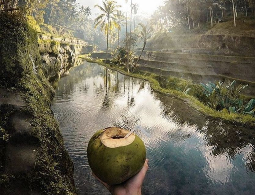 Ubud: All-Inclusive Tour With Optional Lunch - Balinese Irrigation System